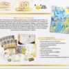 coffret dresseur d'elite pokémon 30 ans coffret dresseur d'elite pokémon 30 ans